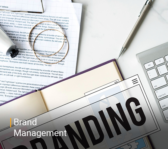 Business Consulting | Digital Marketing | Web Applications